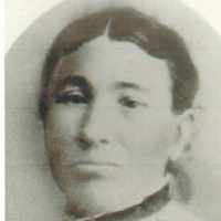 Sarah Jane Rodeback (1842 - 1924) Profile